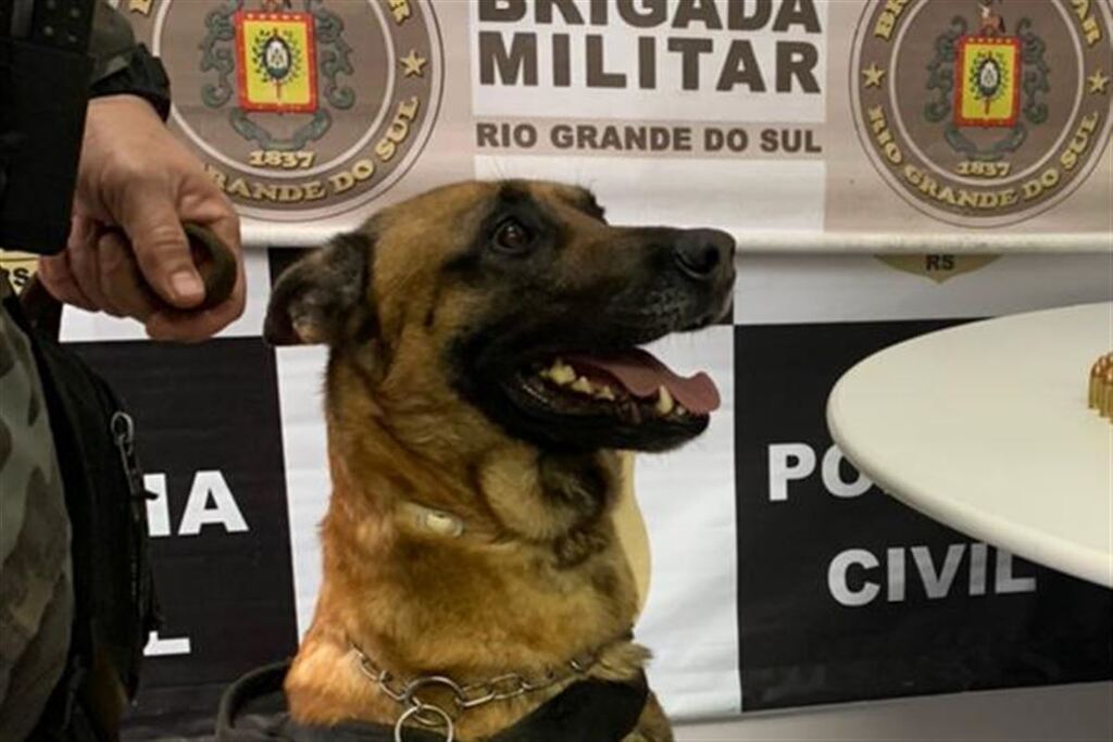 Cão farejador encontra drogas em terreno e dupla é presa em Rosário do Sul