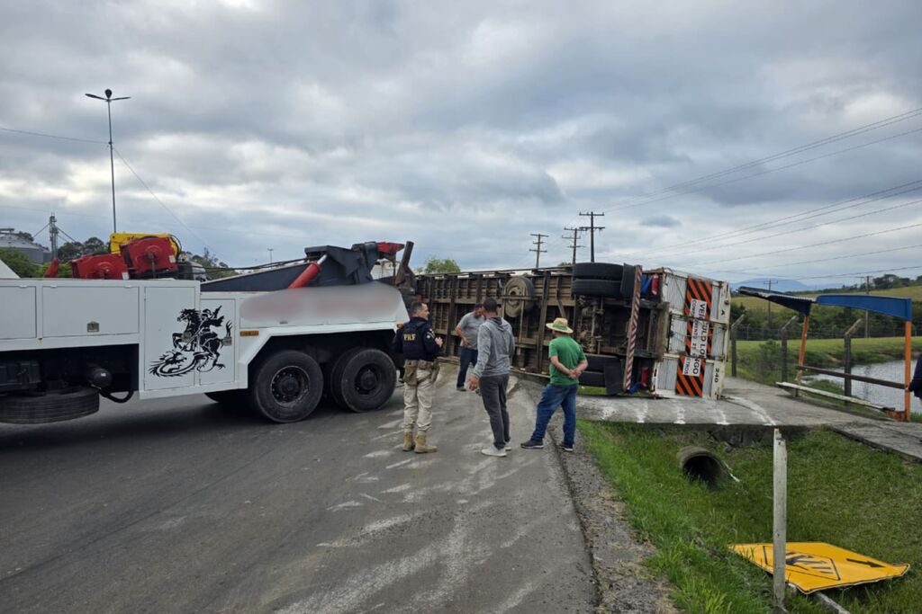 Caminhão com carga de bovinos tomba e boi morre próximo ao Frigorífico Silva