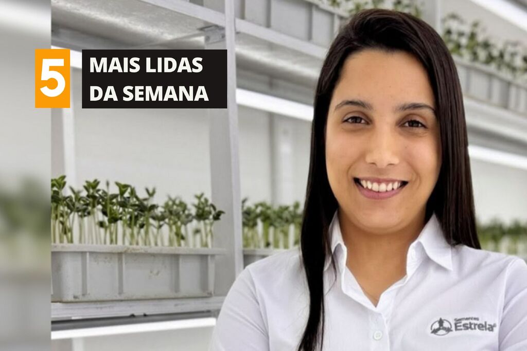 Confira as mais lidas do Diário nesta semana