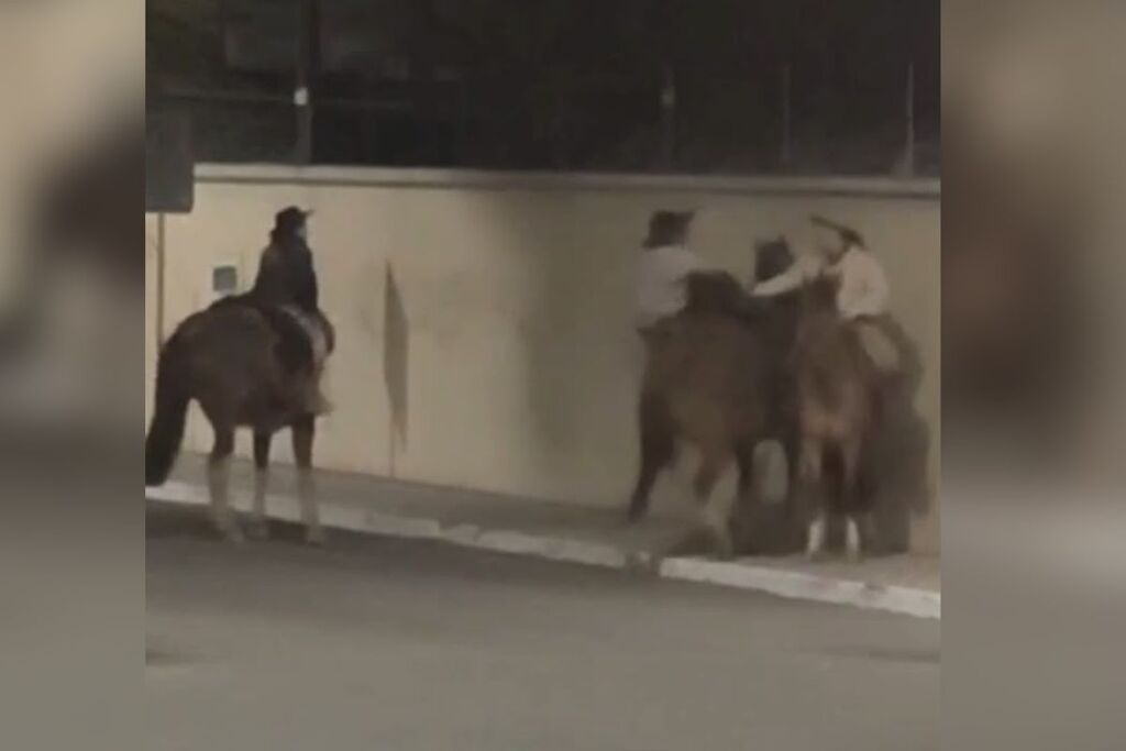 VÍDEO: Homem cai de cavalo durante desentendimento com mulher em São Gabriel