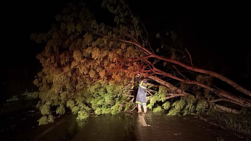 Chuva provoca quedas de árvores e falta de luz em 2,2 mil unidades de Santa Maria