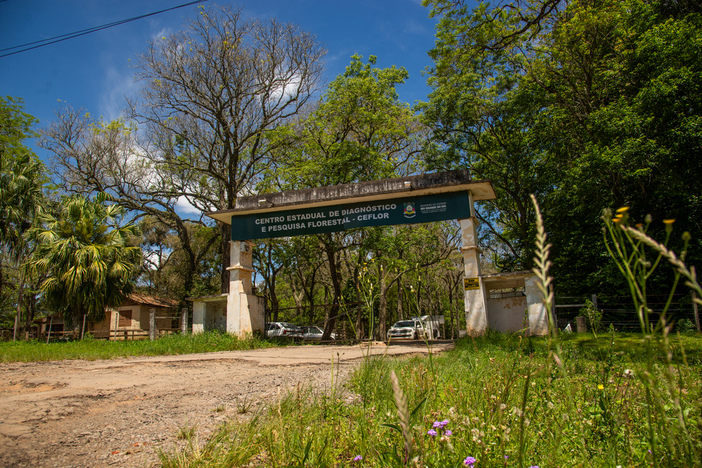 Comunidade Kaingang apresenta contraproposta para reassentamento na antiga Fepagro, em Santa Maria