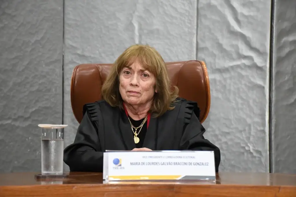 “É tecnicamente inviável o reinício da votação eletrônica após encerramento das urnas