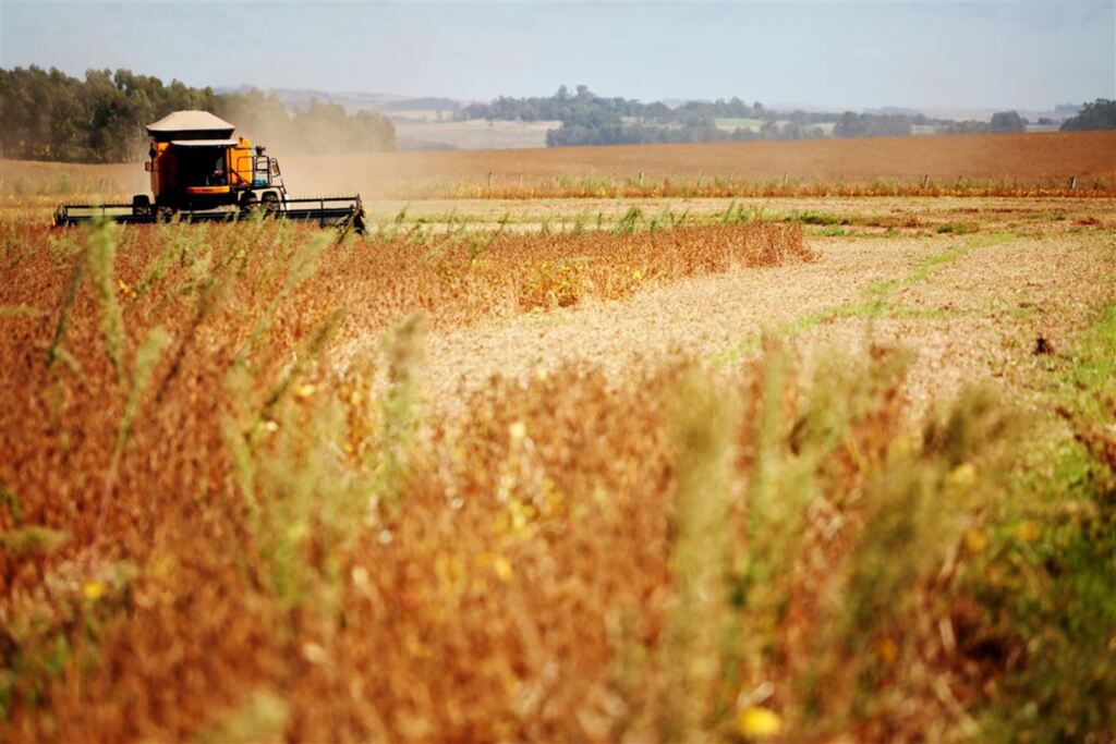 Galeria de imagens: LEGANDA 2