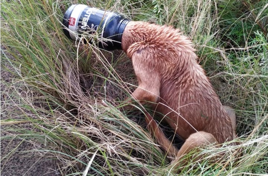 Foto: Arquivo Pessoal - 