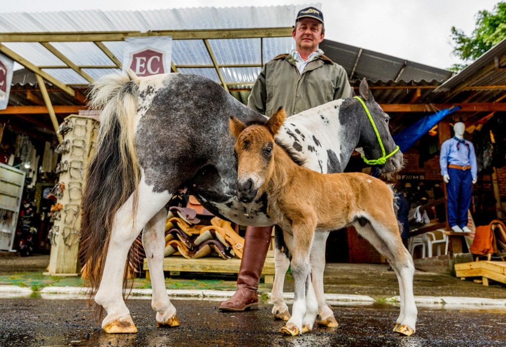 Foto: Evandro Leal (Especial) - 