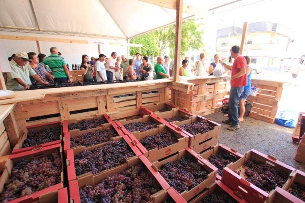 título imagem 5ª Edição da Festa da Uva de São Sepé movimentou R$ 20 mil