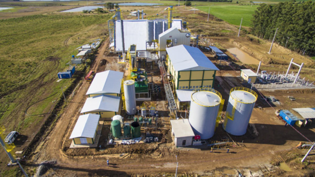 Foto: Divulgação - 