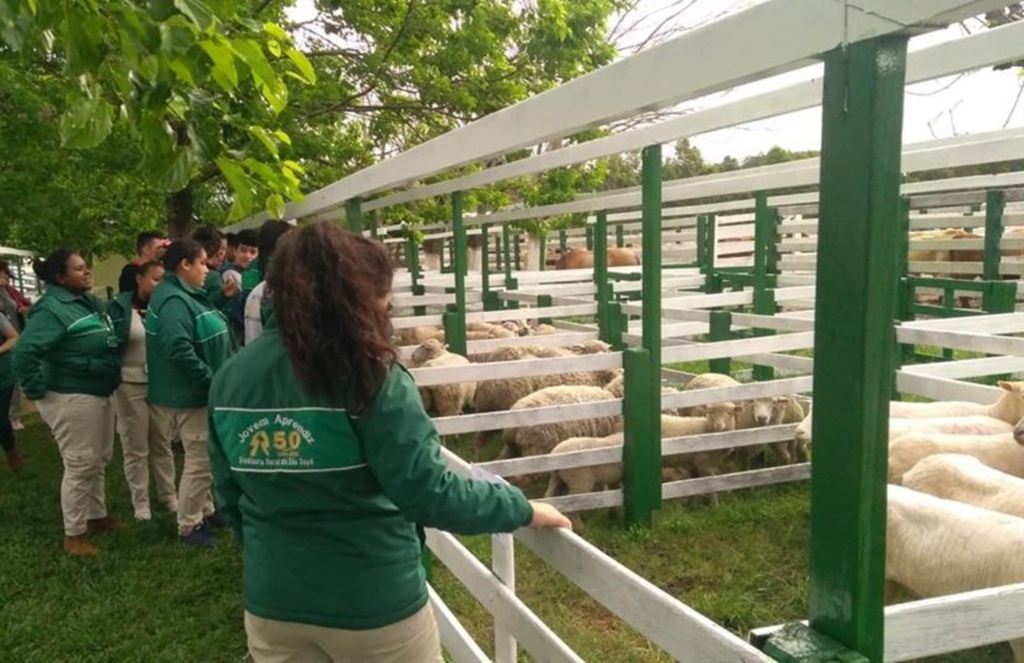 Foto: Programa Jovem Aprendiz Rural (Divulgação) - 