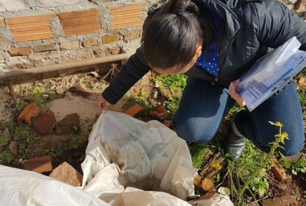 Foto: Divulgação - Agentes da prefeitura fazem varreduras para acabar com criadouros do mosquito