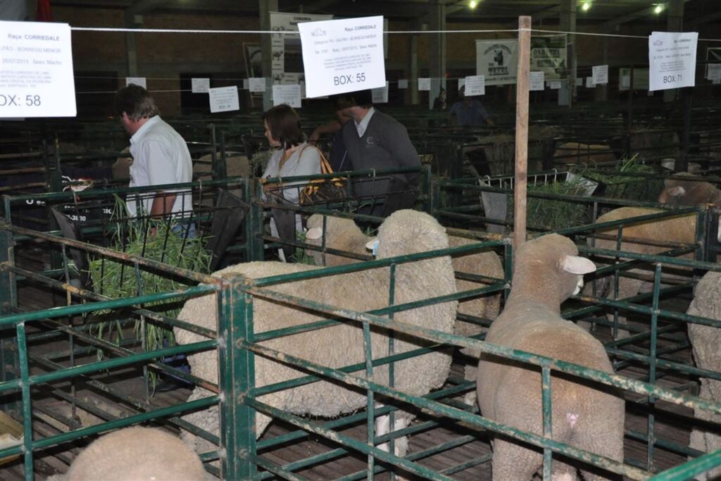 Santiago será sede da Fenovinos em 2020