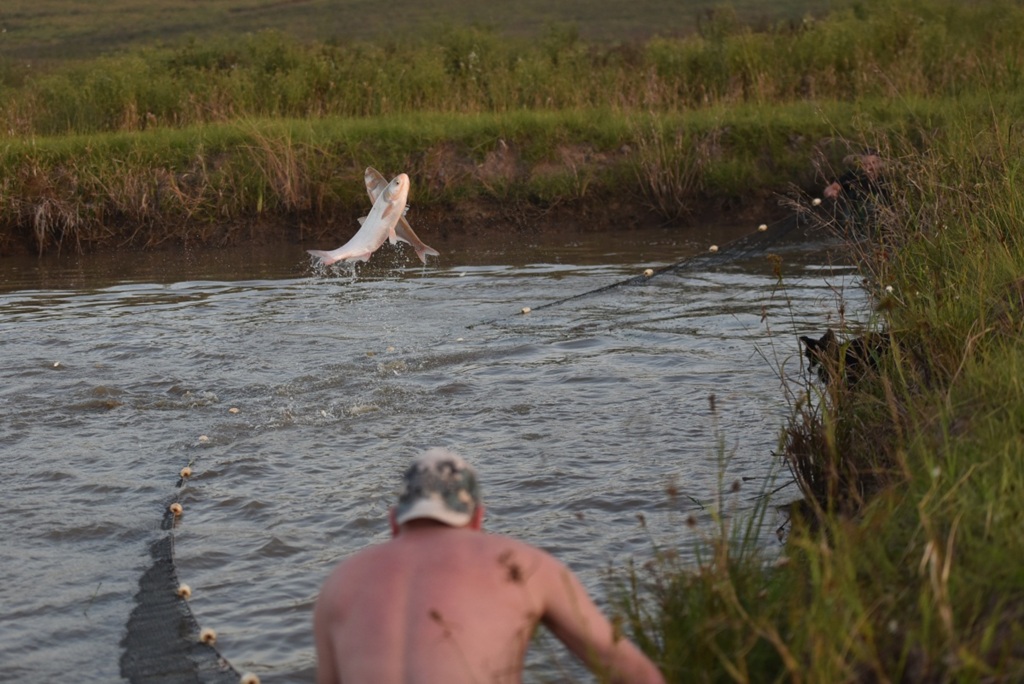 Foto: Gabriel Haesbaert (Diário) - 