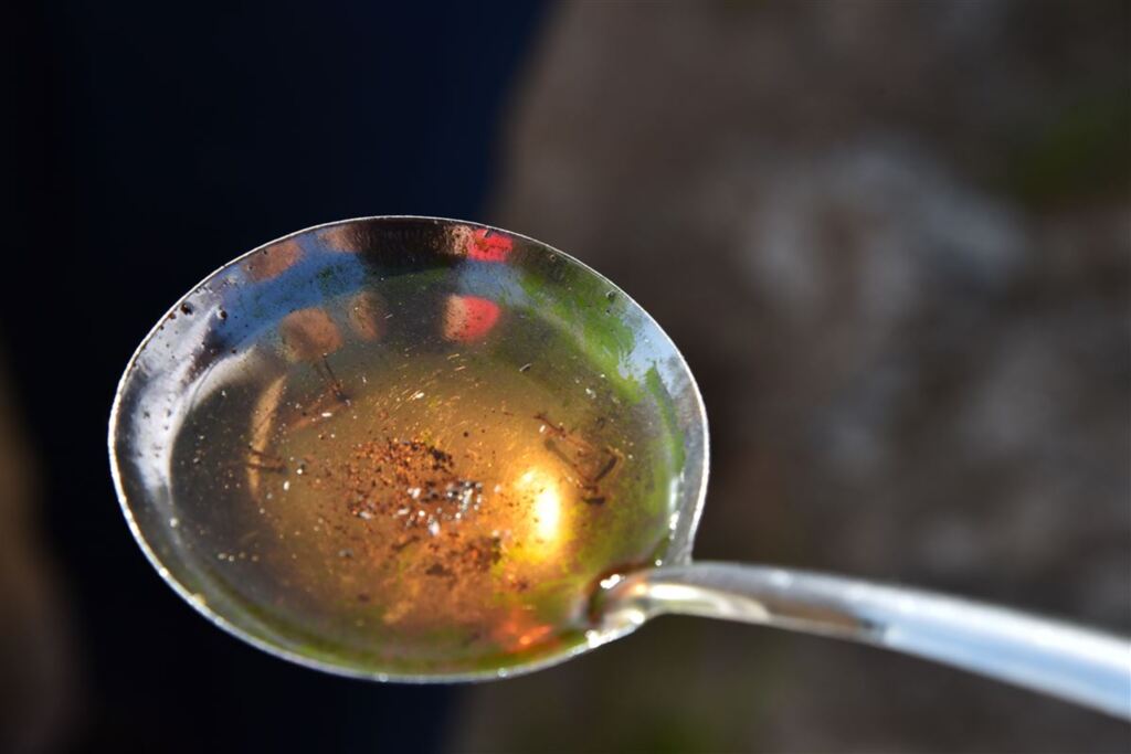 Santiago tem infestação do mosquito Aedes aegypti