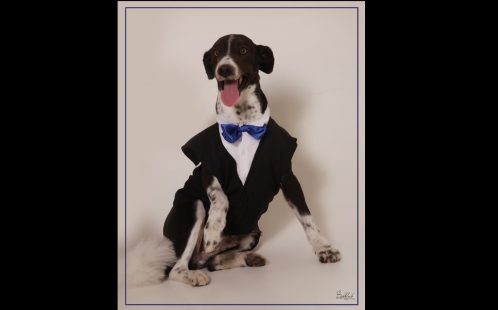 FOTOS: cachorro Mãozinha aparece em fotos oficiais de formandos em Santiago