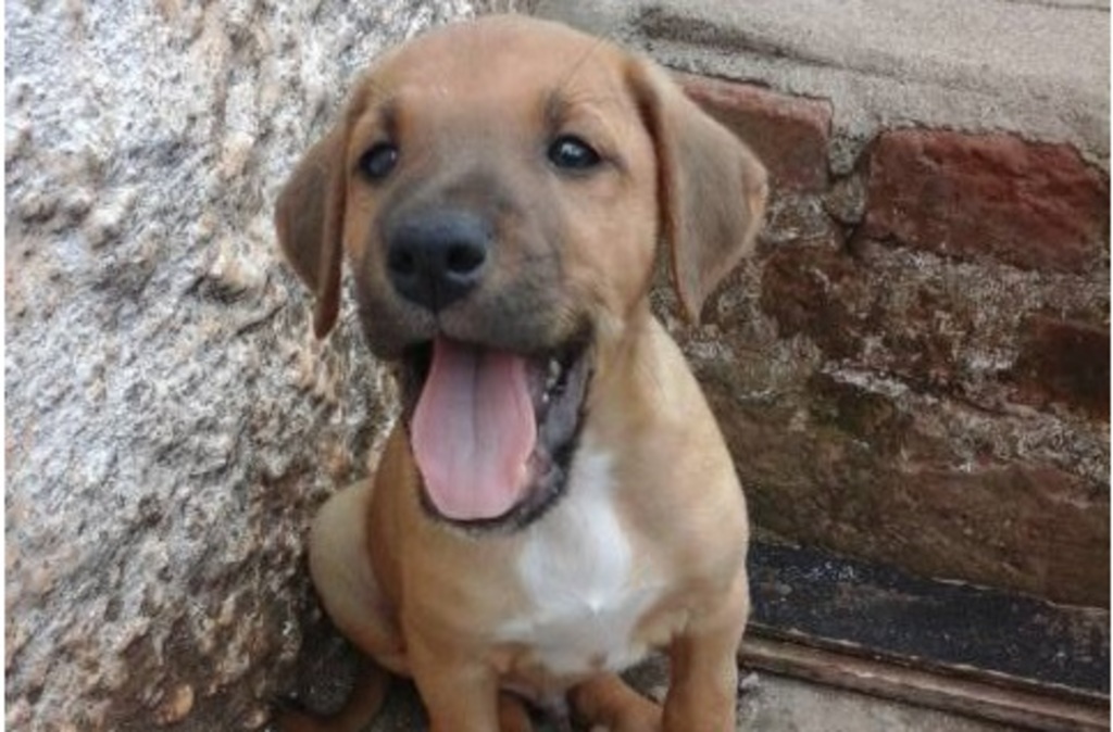 Foto: Arquivo Pessoal - 