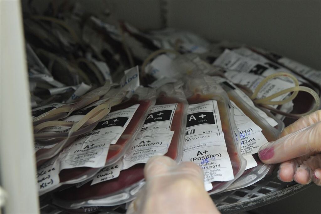 Foto: Ronald Mendes (Arquivo Diário) - 