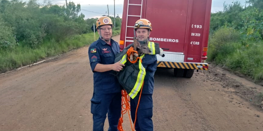 Foto: Corpo de Bombeiros (Divulgação) - 