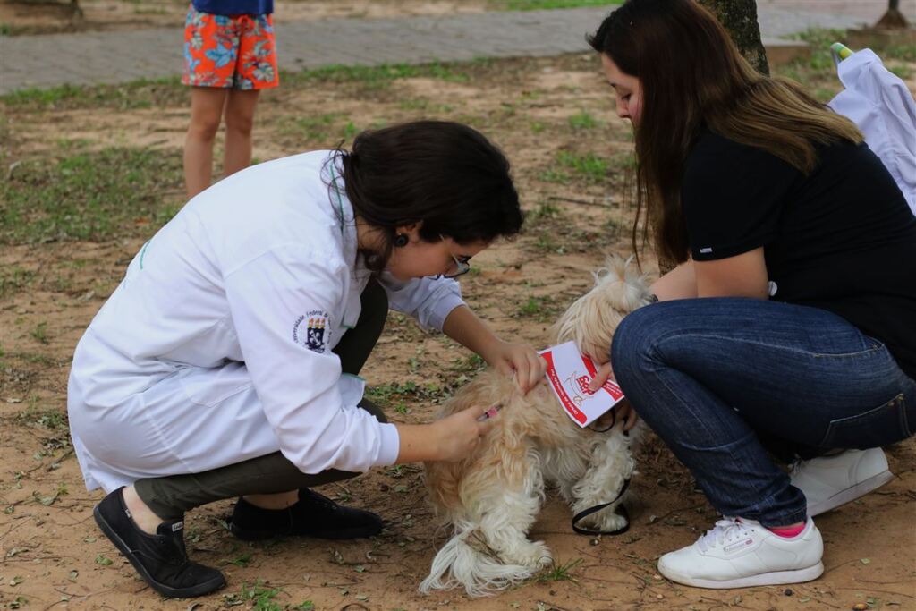 Vacinação contra raiva acontece neste sábado em Restinga Sêca