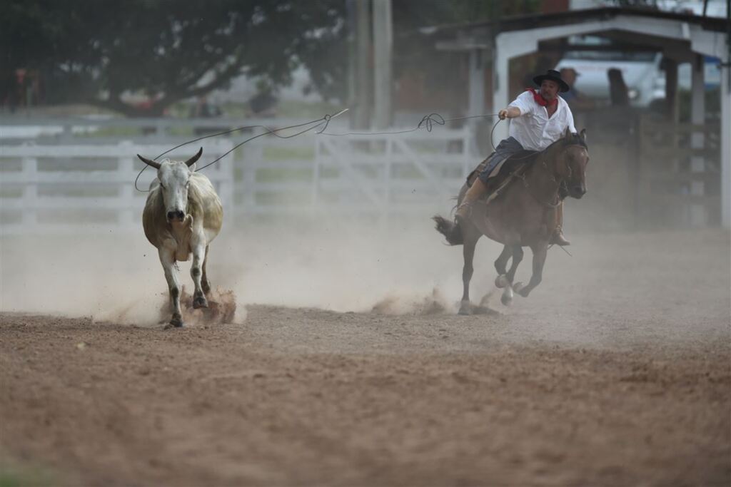 Foto: Gabriel Haesbaert (Arquivo Diário) - 