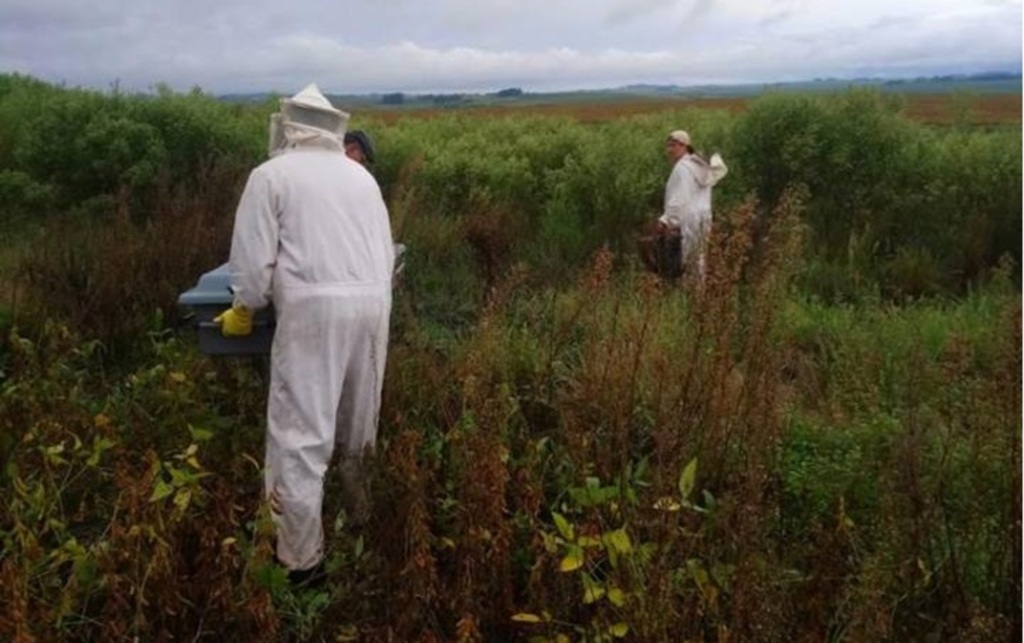 Foto: Polícia Civil (Divulgação) - 