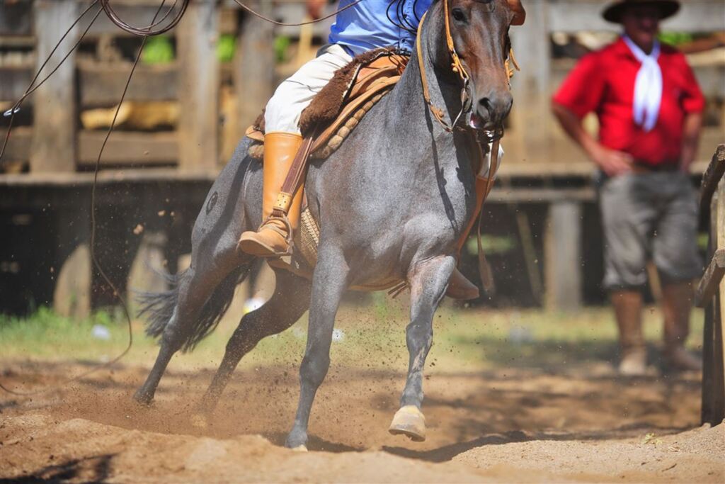 título imagem Rodeios vão agitar municípios da Região Central do Estado neste final de semana