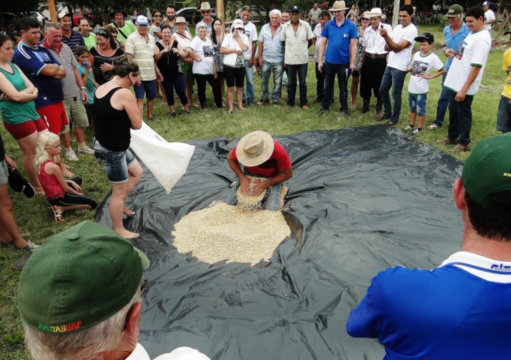 Foto: Divulgação Emater - 