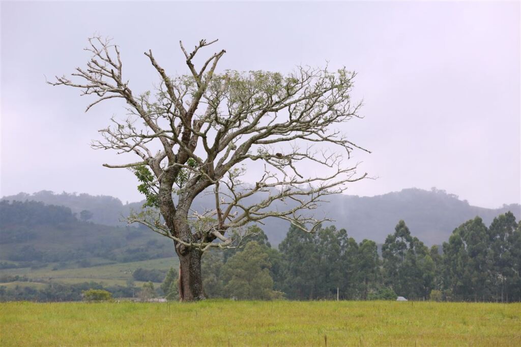 título imagem Cidades da região querem explorar o turismo após gravação da nova novela da Globo