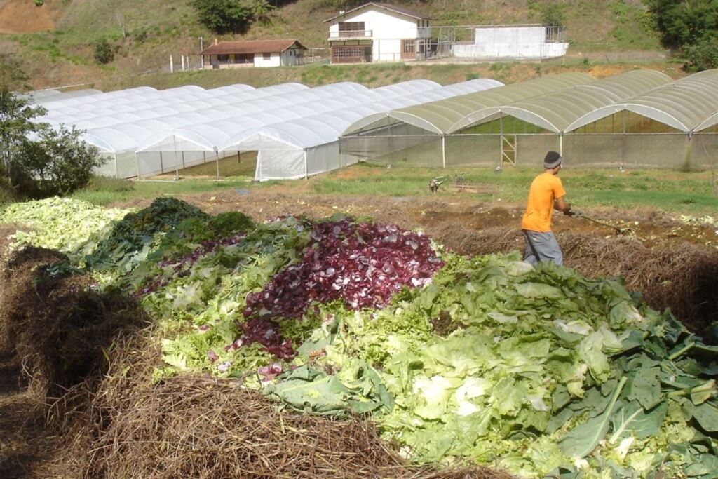 Projeto da prefeitura transforma matéria orgânica em adubo em Jaguari