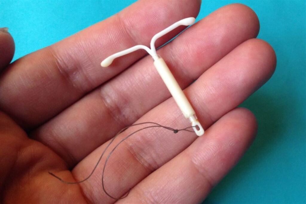 Foto: Divulgação - 