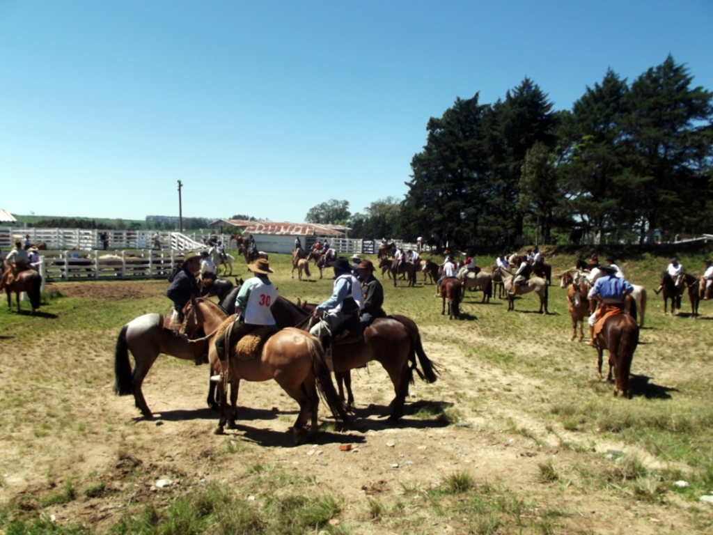 Foto: Divulgação - 