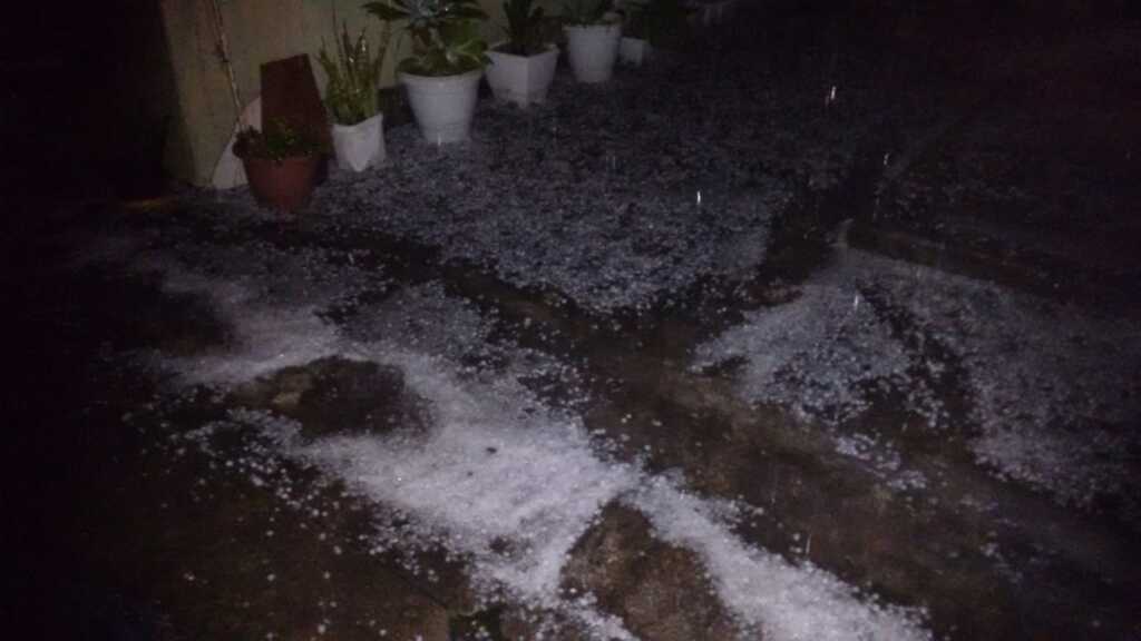 Foto: André Luis (Arquivo pessoal) - 