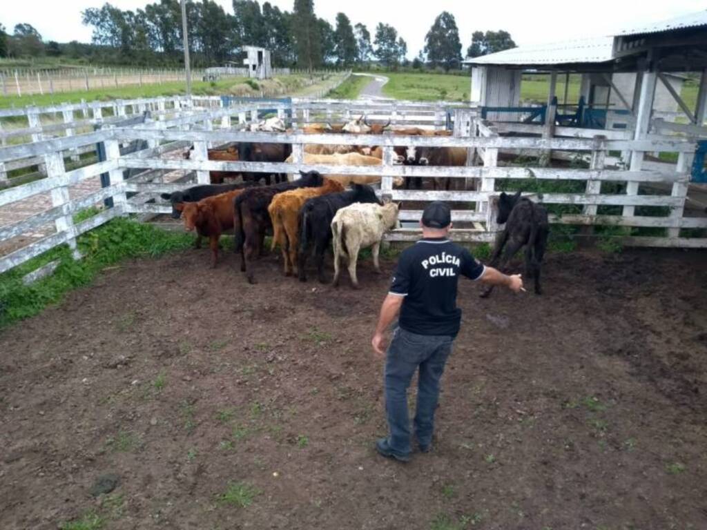 Em 5 dias, 29 animais foram recuperados após furto em Caçapava do Sul