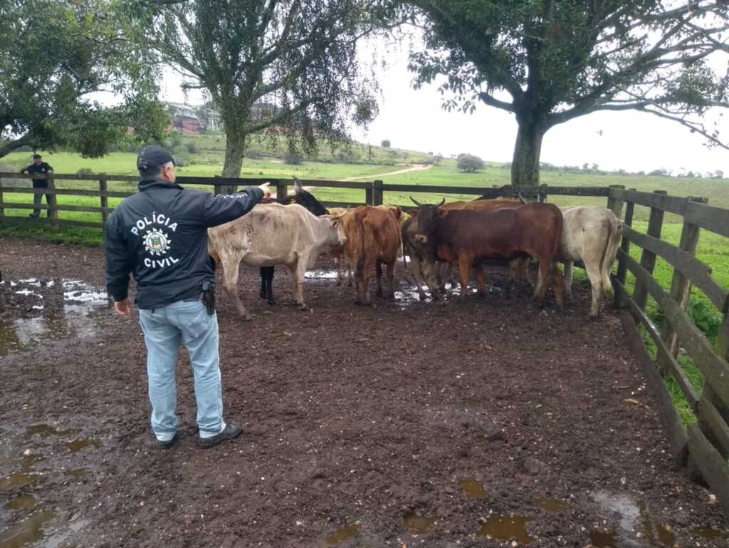 Foto: Polícia Civil (Divulgação) - 