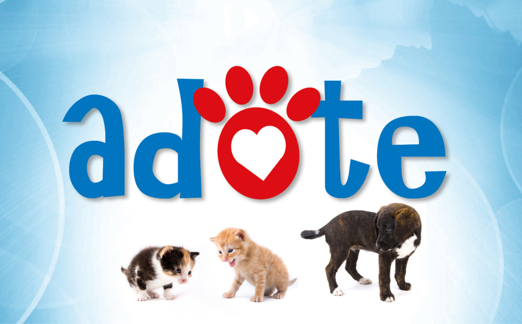 Arte: Rafael Guerra - 