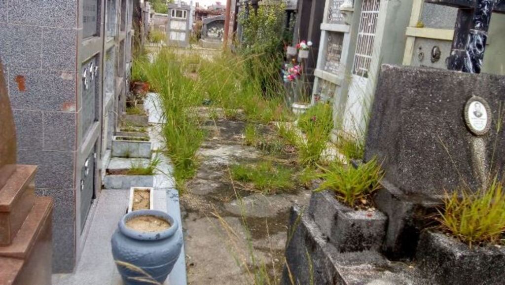 Leitor questiona tratamento do Cemitério Ecumênico