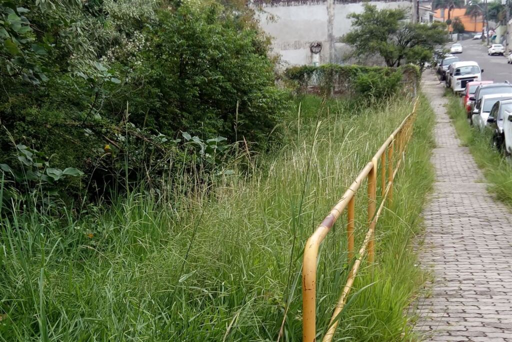 Foto: Arquivo Pessoal - 