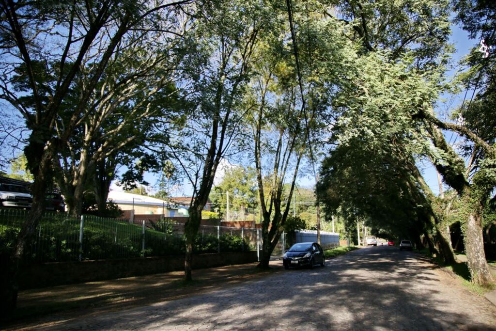 Fotos: Renan Mattos (Diário) - 