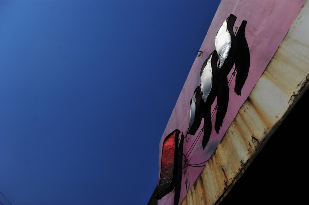 título imagem VÍDEO: documentário traz depoimentos de pais e sobreviventes