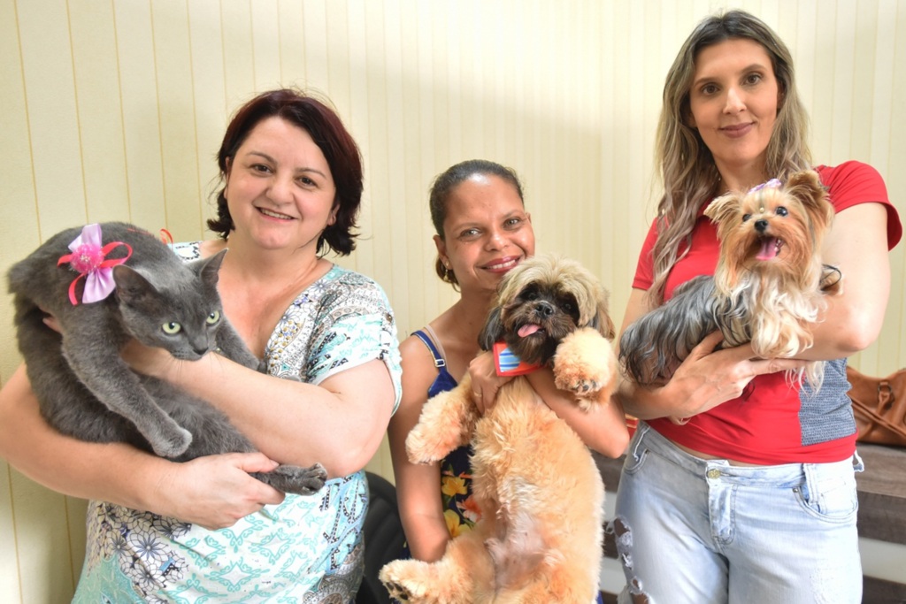 Levantamento mostra os 10 nomes de pets mais populares em Santa Maria