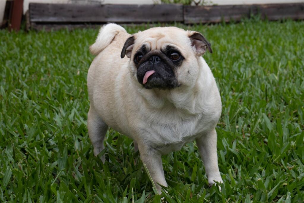 Foto: Hendril Freitas - 