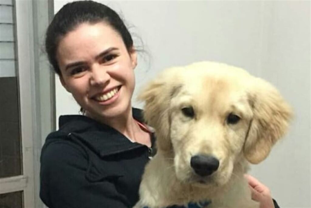 título imagem Conheça o aplicativo que arranja cuidadores para o seu cãozinho