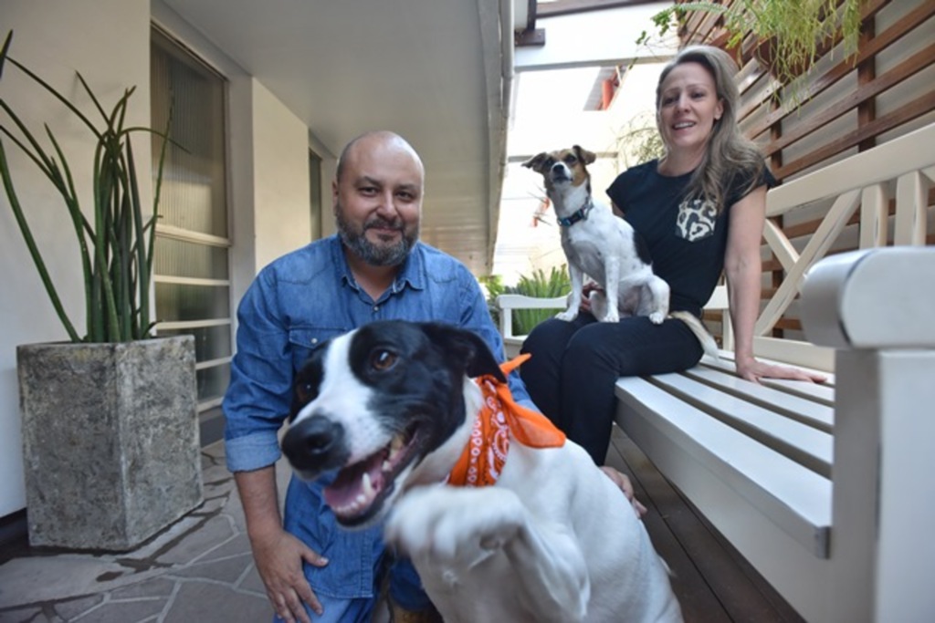 Quais os limites nas relações afetivas de pets e tutores?