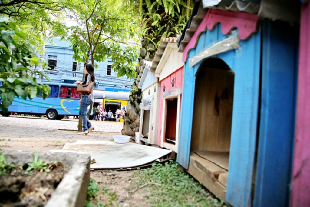 Foto: Renan Mattos (Diário) - Casas comunitárias no trecho são aprovadas por membros de grupos de defesa animal da cidade