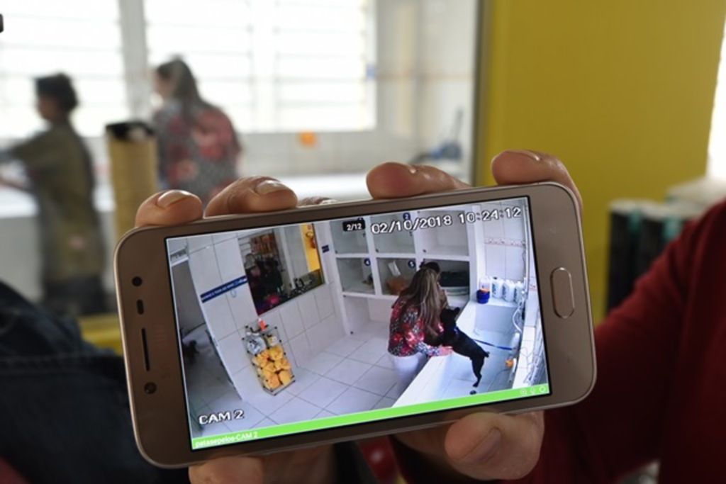 título imagem Aplicativos permitem a tutores acompanharem ao vivo o tratamento de seus pets