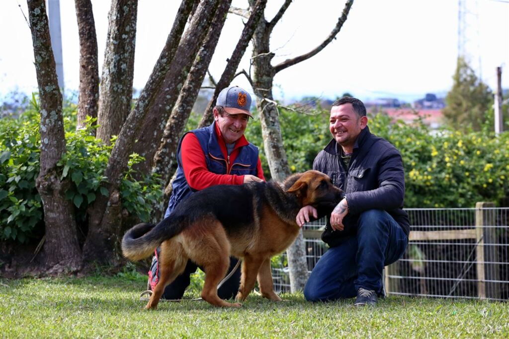 Especialistas dão dicas de como evitar as pulgas e carrapatos do seu pet