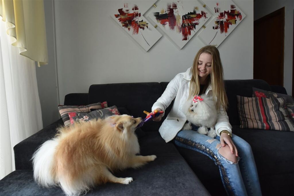 Especialistas fazem recomendações para a adaptação dos pets