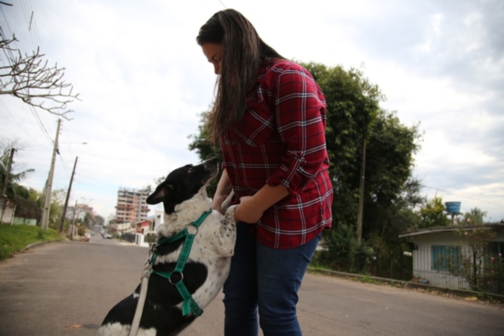 Veterinários e tutores falam sobre como cuidar de pets epiléticos com qualidade de vida