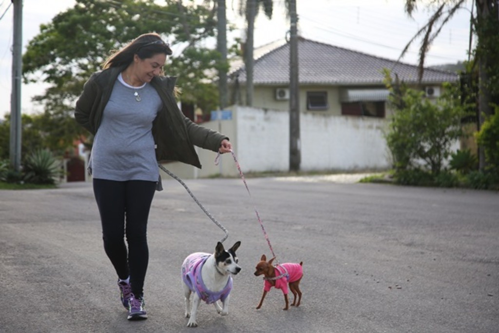 Veterinários apontam cuidados ao passear com pets no inverno
