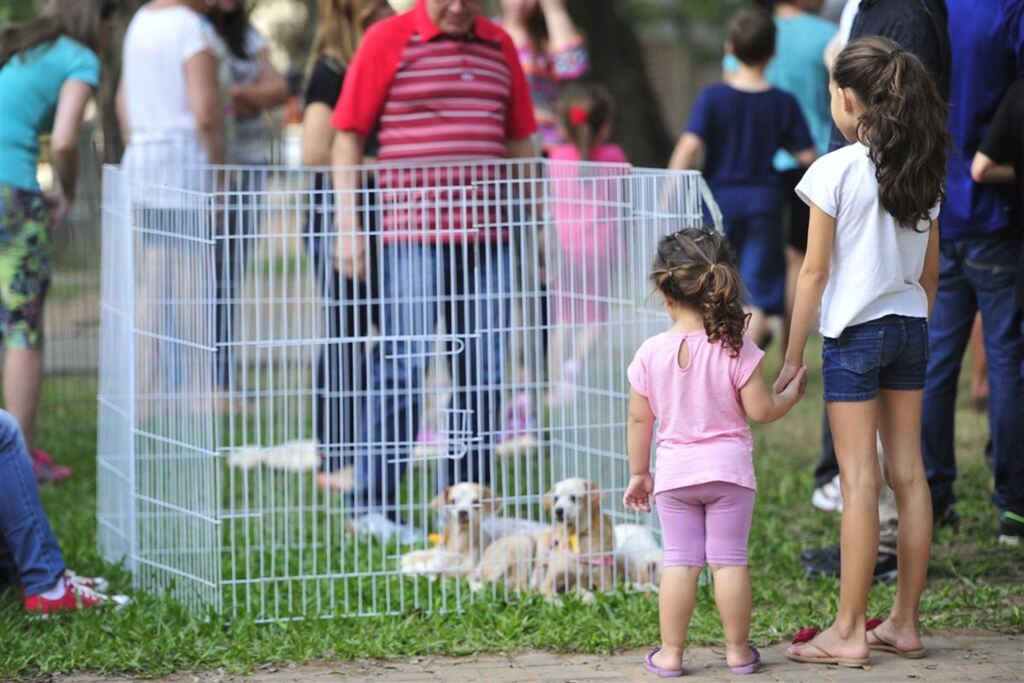Dia da Adoção Solidária é neste final de semana