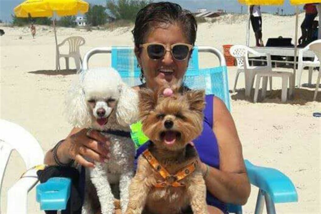 Como aproveitar as férias com o pet
